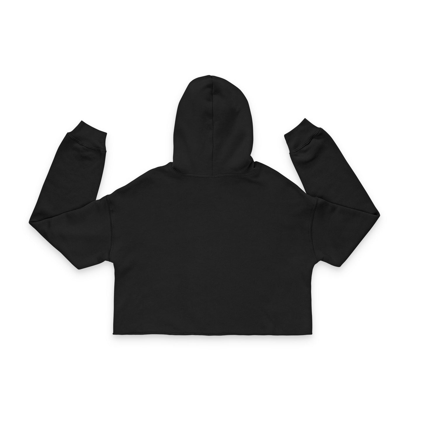 LOVE Energy Grunge inspired Cropped Hoodie